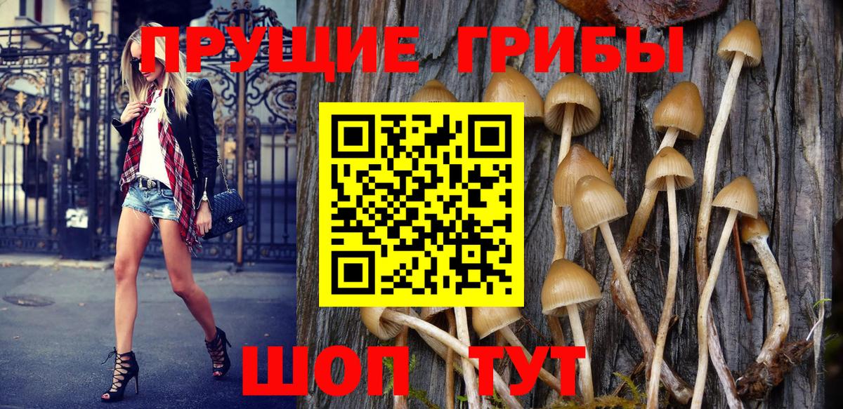 Мыски  Псилоцибиновые грибы Psilocybe  Галлюциногенные грибы GOLDEN TEACHER  Вход с VPN 